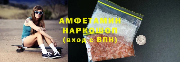 трава Няндома