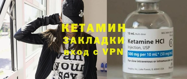 трава Няндома