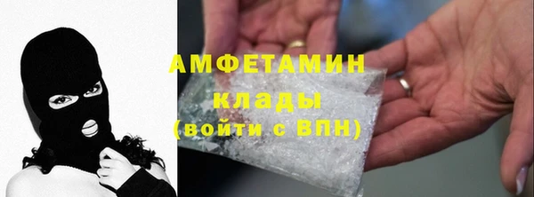 трава Няндома