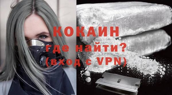 трава Няндома