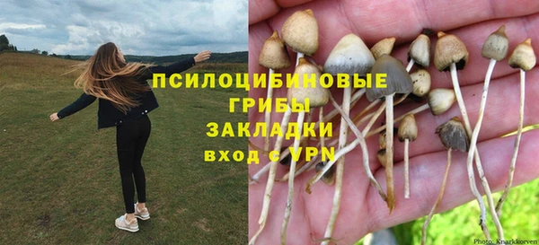 твердый Болотное
