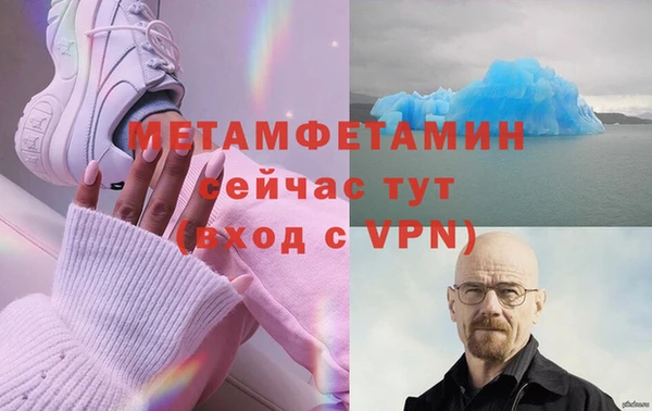 трава Няндома