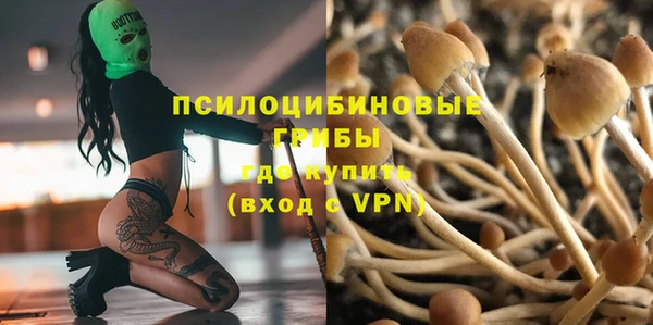 трава Няндома