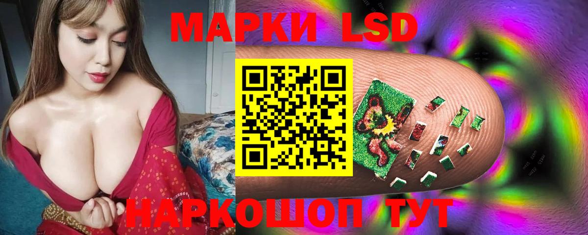 Галлюциногенные грибы Балашиха