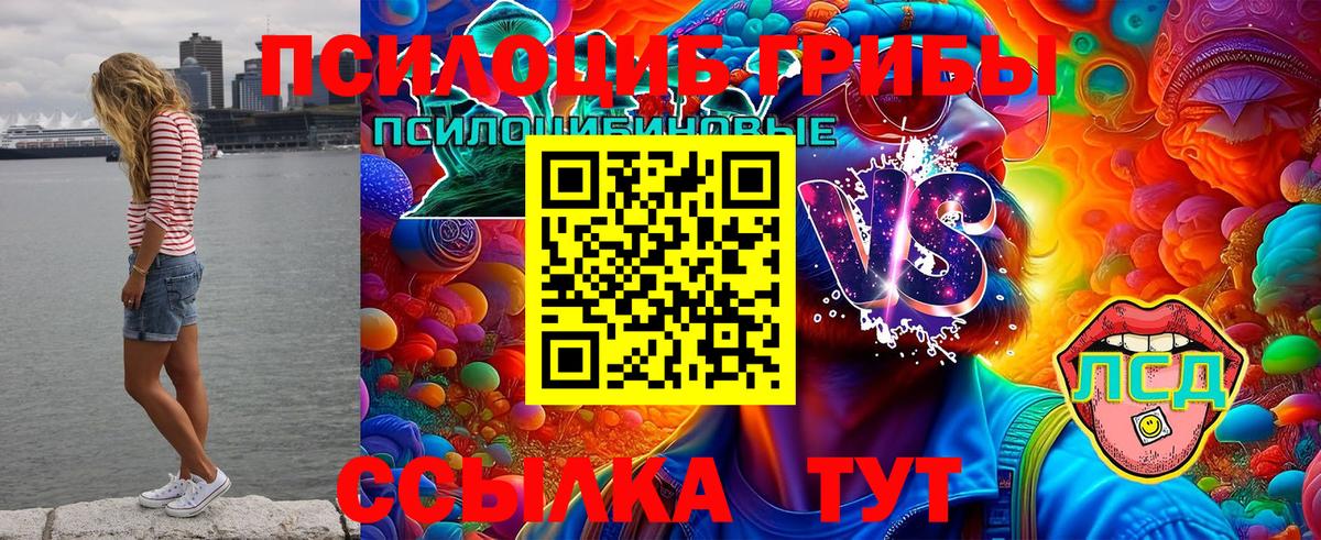 Балашиха  Галлюциногенные грибы ЛСД  что такое   Вход с VPN 