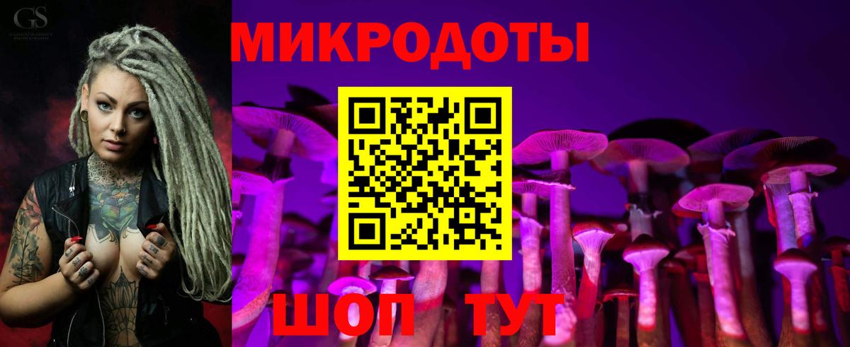 Галлюциногенные грибы Psilocybine cubensis Балашиха